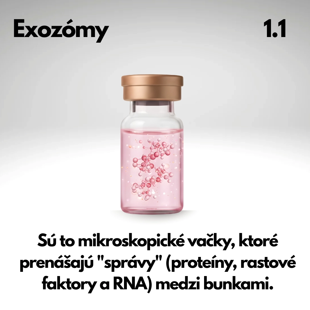 exozomy