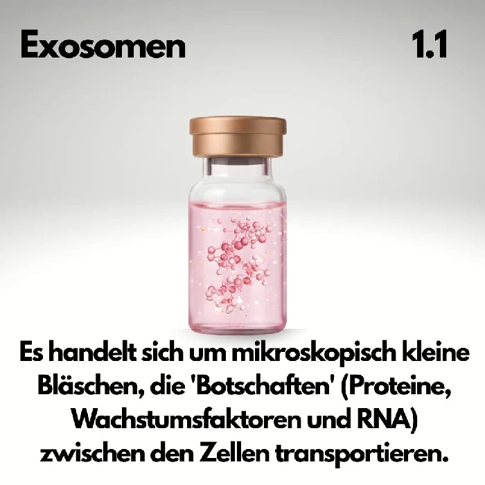 Exosomen